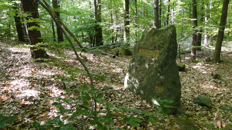 Ritterstein Nr. 175-3 Schanze 6 1793-94.JPG - Ritterstein Nr.175 Schanze 6 1793/94